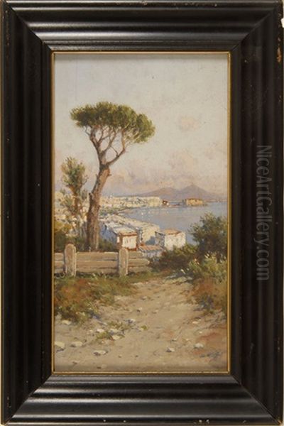 Looking Down On The Bay Of Naples Oil Painting by Giuseppe Carelli