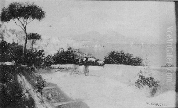 Naples From Meigelina Pompei by Giuseppe Carelli