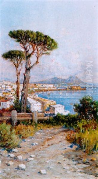 A View Of The Bay Of Naples From Posilipo Oil Painting by Giuseppe Carelli