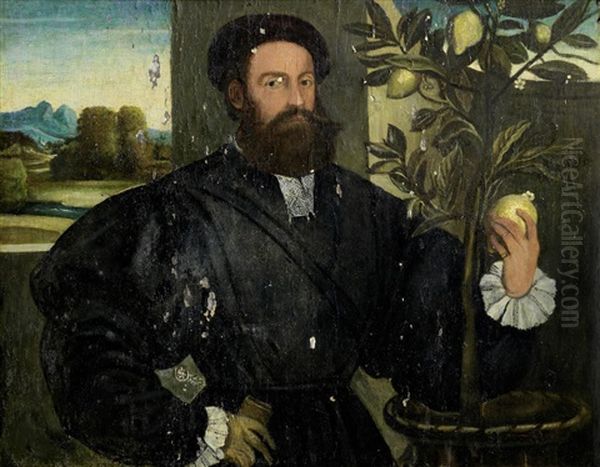 Portrait Of A Gentleman, Half-length, Standing Before A Lemon Tree And Holding A Lemon Oil Painting by Giovanni Cariani