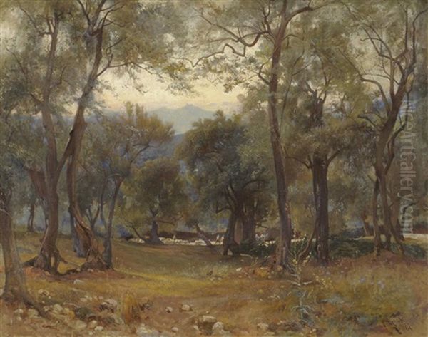 Sunlit Wooded Glade Oil Painting by Onorato Carlandi