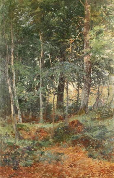 The First Days Of Autumn In A Forest Oil Painting by Carl Carlsen