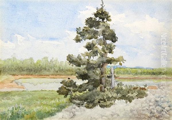 Lone Tree By A Lake Oil Painting by Emil Carlsen