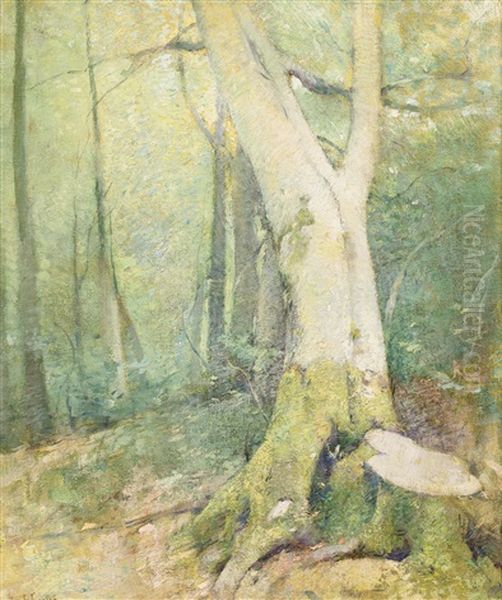 Woodland Interior Oil Painting by Emil Carlsen