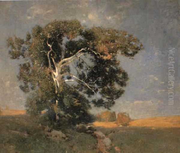 Old Sycamore Oil Painting by Emil Carlsen