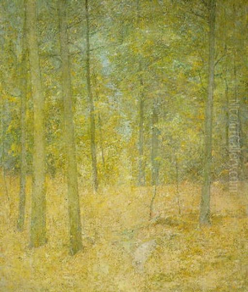 A Light In The Forest Oil Painting by Emil Carlsen