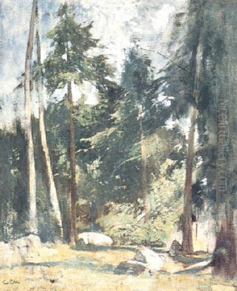 Tall Pines Oil Painting by Emil Carlsen