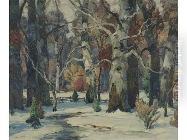 Sunlight Glades Oil Painting by John Fabian Carlson