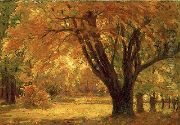 Autumn Sunlight Oil Painting by John Fabian Carlson