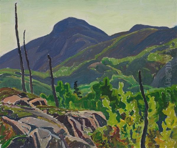 Sombre Valley, La Cloche Hills Oil Painting by Franklin Carmichael