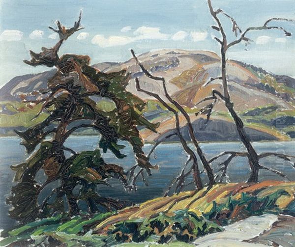 Mcgregor Bay Oil Painting by Franklin Carmichael