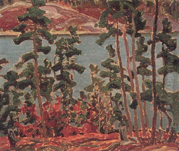 Cranberry Narrows, La Cloche Hills Oil Painting by Franklin Carmichael