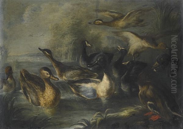 River Landscape With Ducks Oil Painting by Baldassare De Caro