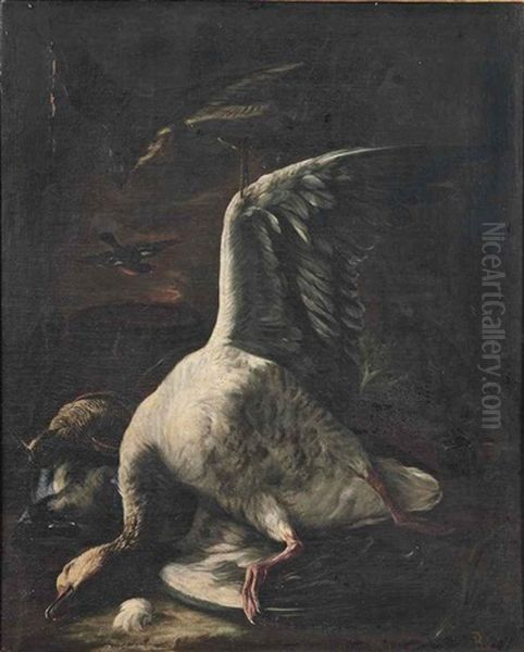 A Goose, Snipe And Duck With A Hawk, A Basket, And A Rifle On A Bank Oil Painting by Baldassare De Caro