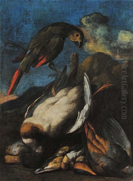 Natura Morta Con Anatre E Pappagalli Oil Painting by Baldassare De Caro