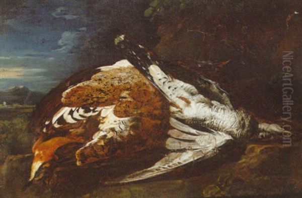 Dead Birds In A Landscape Oil Painting by Baldassare De Caro