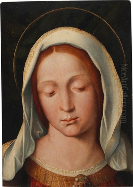 Madonna Oil Painting by Giovanni Francesco Caroto