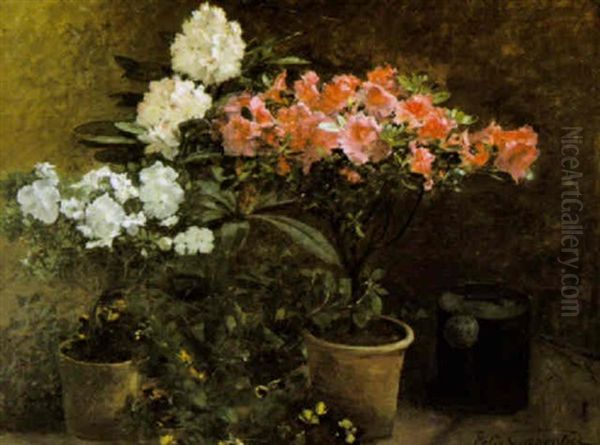 A Garden Perspective With Azaleas, Rhododendron And Pansies Oil Painting by Felix Carpentier