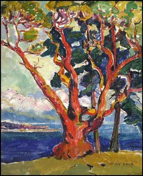 Arbutus Tree/untitled Portrait Verso Oil Painting by Emily Carr