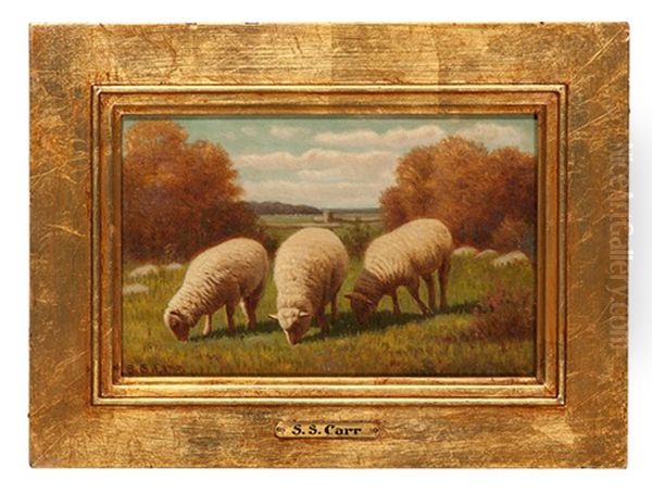 Sheep In Meadow Oil Painting by Samuel S. Carr