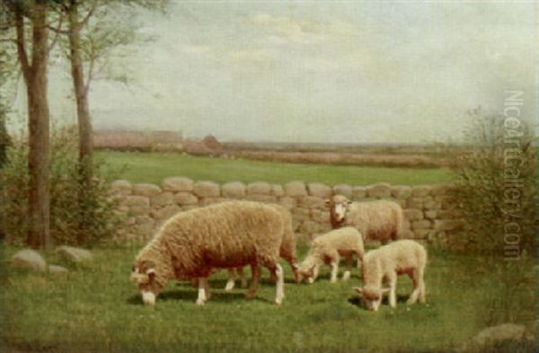 Sheep Grazing Oil Painting by Samuel S. Carr