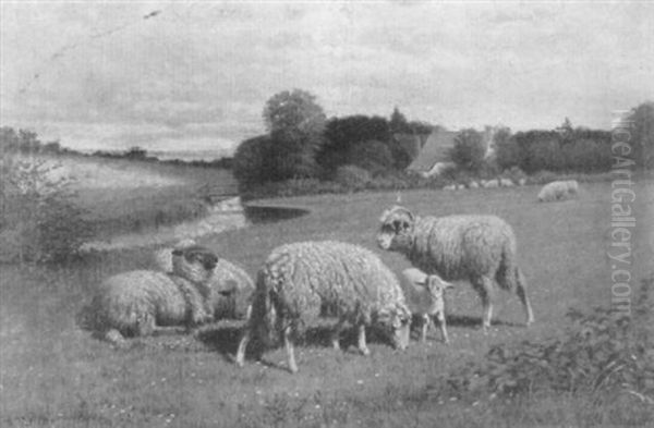 Grazing Sheep Oil Painting by Samuel S. Carr