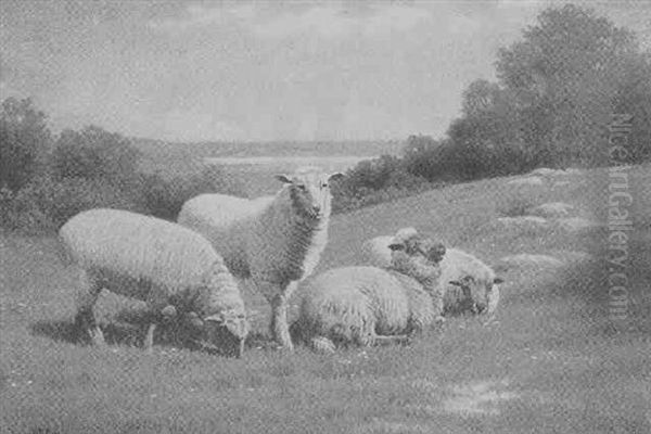 Grazing Sheep Oil Painting by Samuel S. Carr