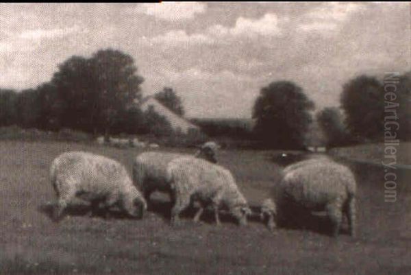 Sheep Grazing Near Farmhouse Oil Painting by Samuel S. Carr