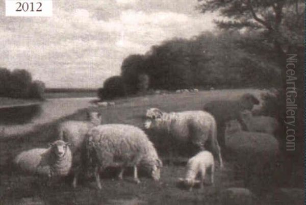 Sheep In A Landscape Oil Painting by Samuel S. Carr