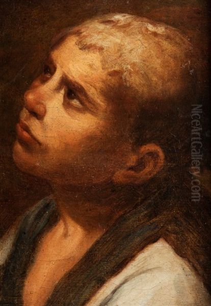 Kopfstudie Eines Knaben, Nach Links Oben Blickend Oil Painting by Annibale Carracci