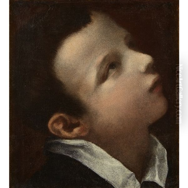 Head Of Youth Looking Upwards To The Right Oil Painting by Annibale Carracci