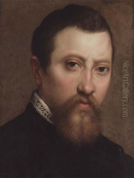 A Portrait Of A Bearded Gentleman Wearing Black With A White Lace Collar Oil Painting by Annibale Carracci