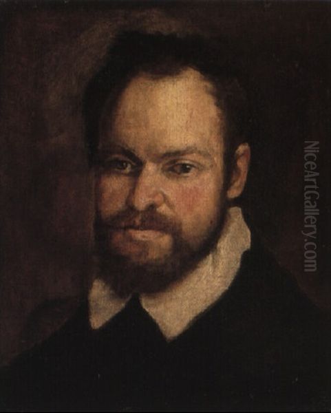 Portrait Of A Bearded Man Oil Painting by Annibale Carracci