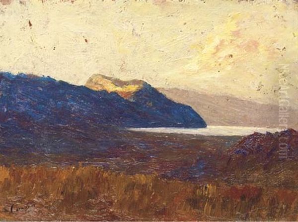 Le Lac Du Bourget Oil Painting by Joseph Melchior Carron