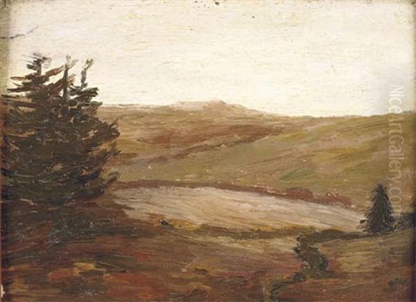 Paysage Au Sapin Oil Painting by Joseph Melchior Carron