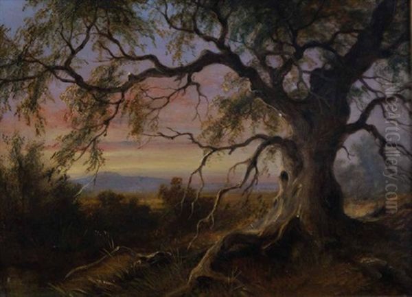 Old Gum Tree On Riddells Creek Oil Painting by James Howe Carse