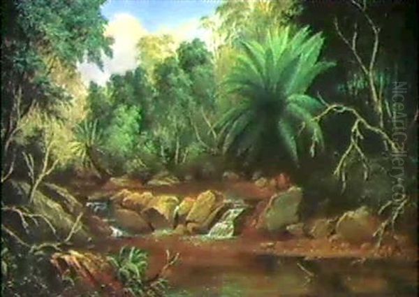 Creek Scene, Wagunga, Mount Dromedary, 1877 Oil Painting by James Howe Carse