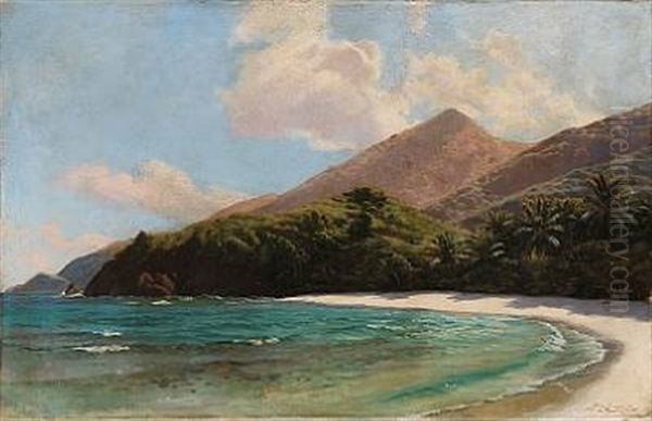 Scene From The Virgin Islands Oil Painting by Andreas Christian Riis Carstensen