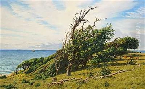 Kystparti Med Ravildt I Lae Af Vindblaeste Traeer Oil Painting by Andreas Christian Riis Carstensen