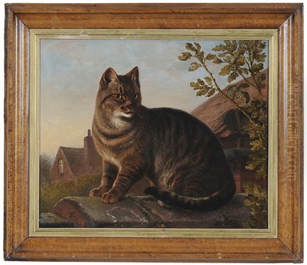 Mr. Dutchman's Cat On A Garden Wall Oil Painting by Samuel John Carter