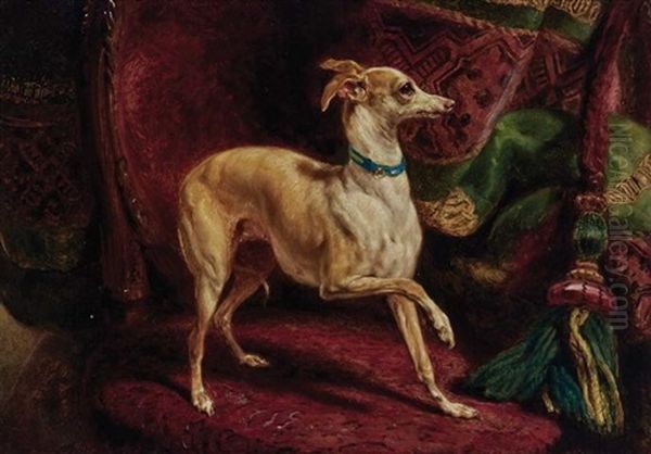 An Italian Greyhound On A Chair Oil Painting by Samuel John Carter