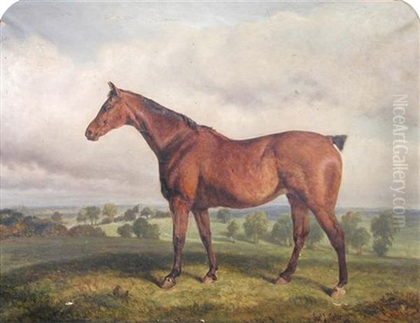 A Bay Hunter In A Landscape, Westacre High House, Norfolk Oil Painting by Samuel John Carter