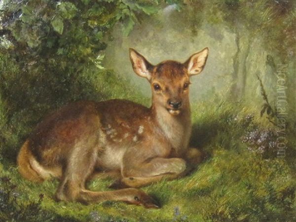 A Fawn Oil Painting by Samuel John Carter