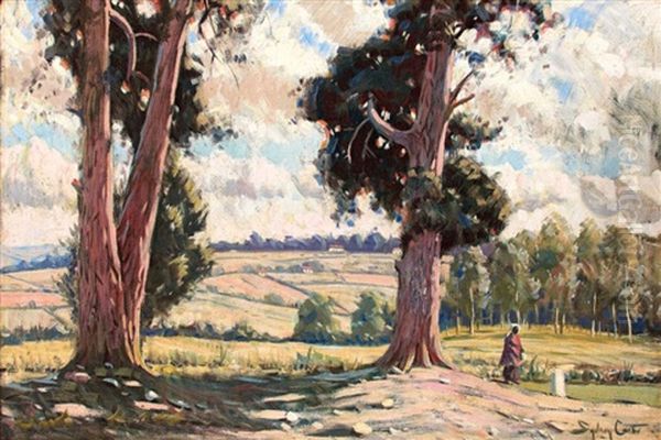 Landscape With Gum Trees Oil Painting by Sydney Carter