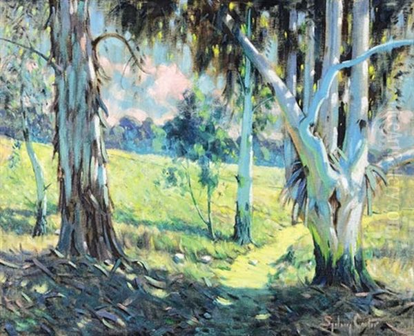 Large Blue Gums Oil Painting by Sydney Carter