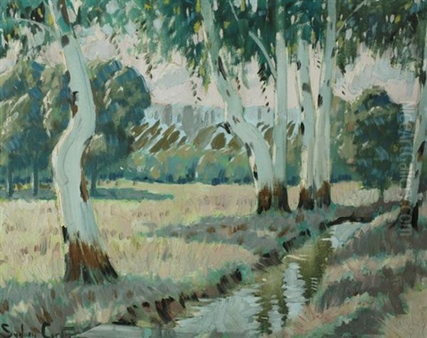 Gum Trees By A Stream by Sydney Carter