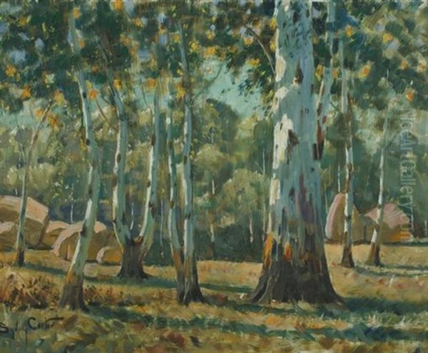 Bluegums, Parys Oil Painting by Sydney Carter