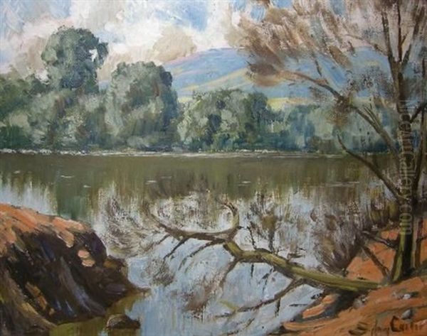 On The Banks Of The Mooi River Oil Painting by Sydney Carter