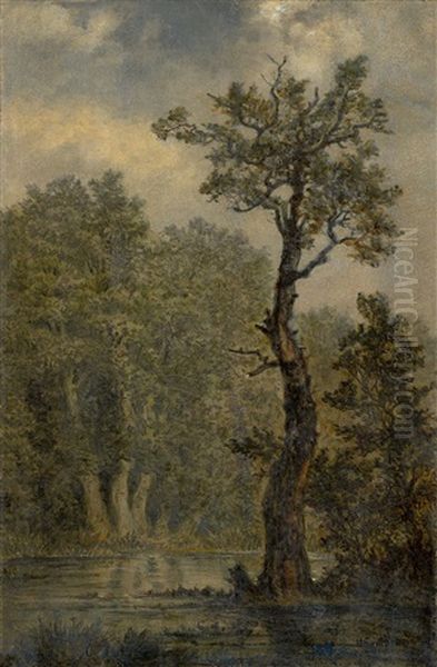 Waldlandschaft Oil Painting by Carl Gustav Carus