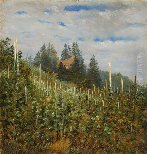 Vinyard In Pillnitz In Early Summer Oil Painting by Carl Gustav Carus